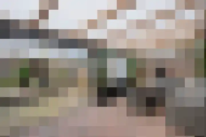 Singelberg 60 Hardenberg thumbnail 6