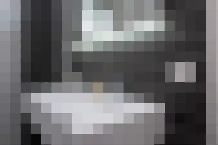 Singelkade 118 Middelharnis thumbnail 20