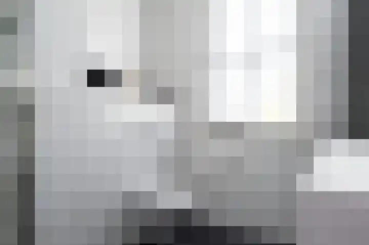 Singelkade 118 Middelharnis thumbnail 22