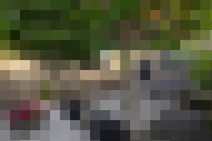 Singelkade 118 Middelharnis thumbnail 29