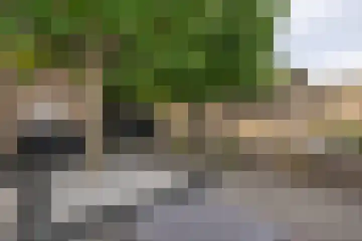 Singelkade 118 Middelharnis thumbnail 31