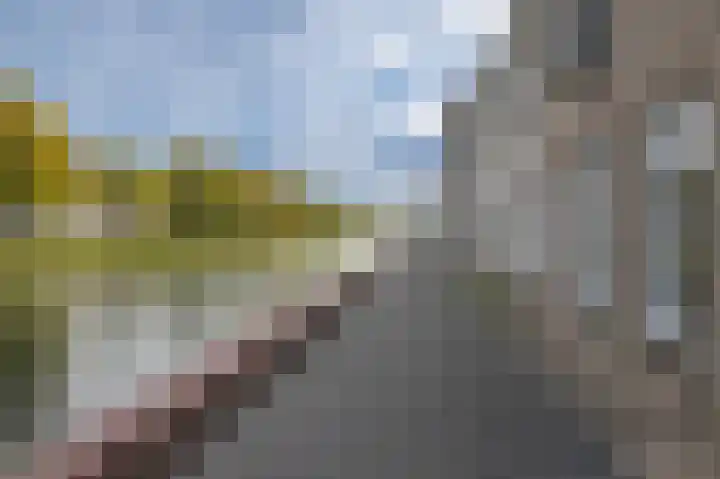 Singelkade 118 Middelharnis thumbnail 32