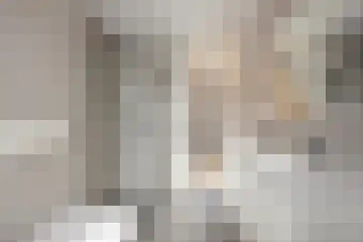 Singelkade 70 Middelharnis thumbnail 25