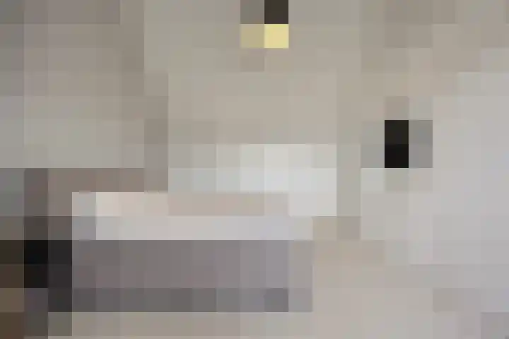 Singelkade 70 Middelharnis thumbnail 33