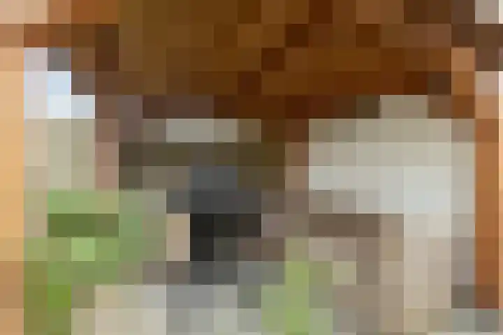 Singelkade 70 Middelharnis thumbnail 39