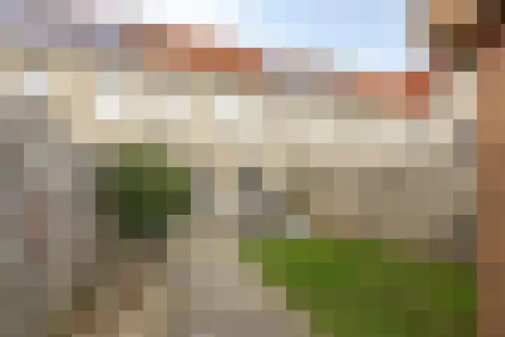 Singelkade 70 Middelharnis thumbnail 5