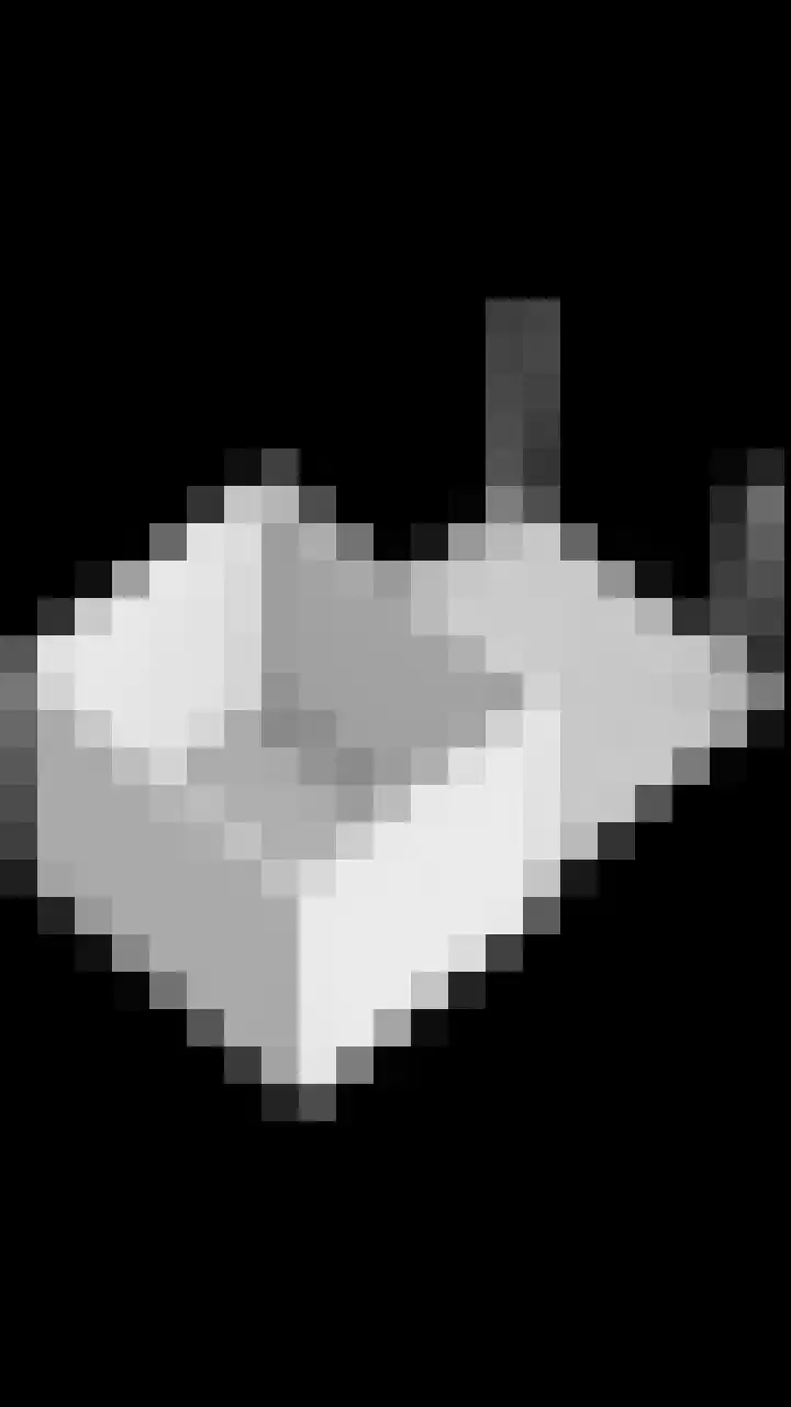 Singelkade 70 Middelharnis thumbnail 56