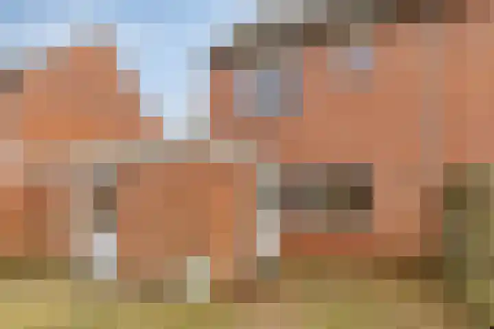 Singellaan 57 Heiligerlee thumbnail 16