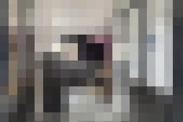 Singellaan 57 Heiligerlee thumbnail 31