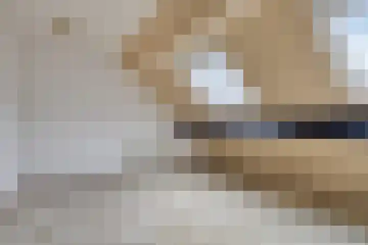 Singellaan 57 Heiligerlee thumbnail 42