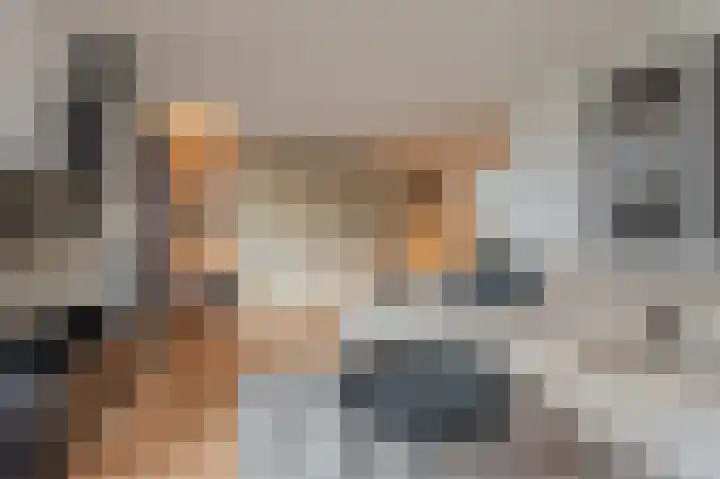 Singellaan 75 Heiligerlee thumbnail 17