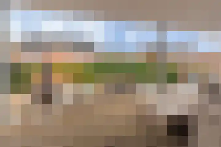 Singellaan 75 Heiligerlee thumbnail 42