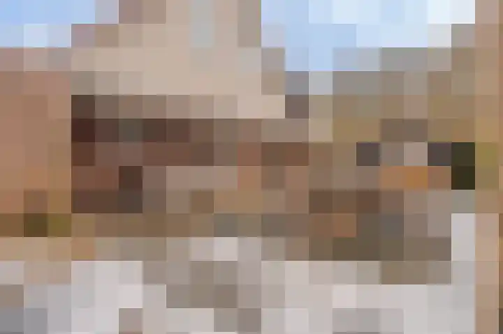 Singellaan 75 Heiligerlee thumbnail 47
