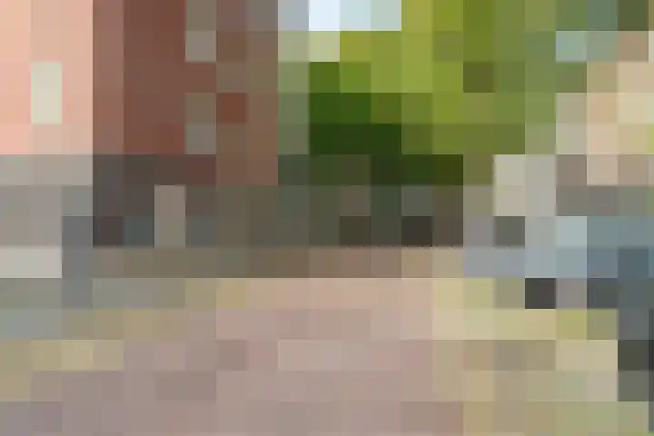 Singelstraat 144 6 Arnhem thumbnail 20