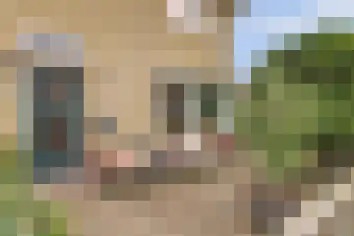 Singelstraat 9 Harlingen thumbnail 33
