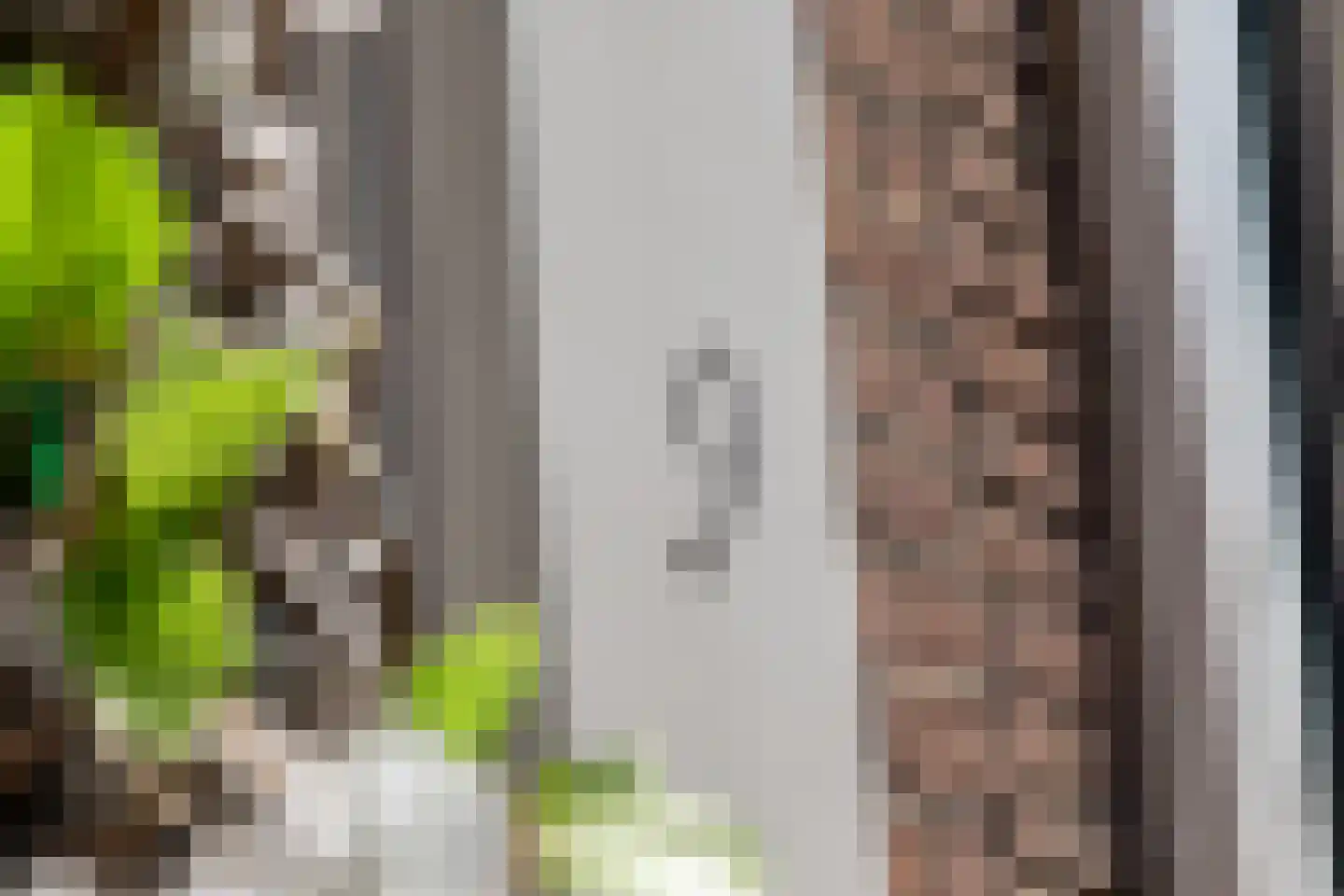 Singelstraat 9 Middelburg thumbnail 6