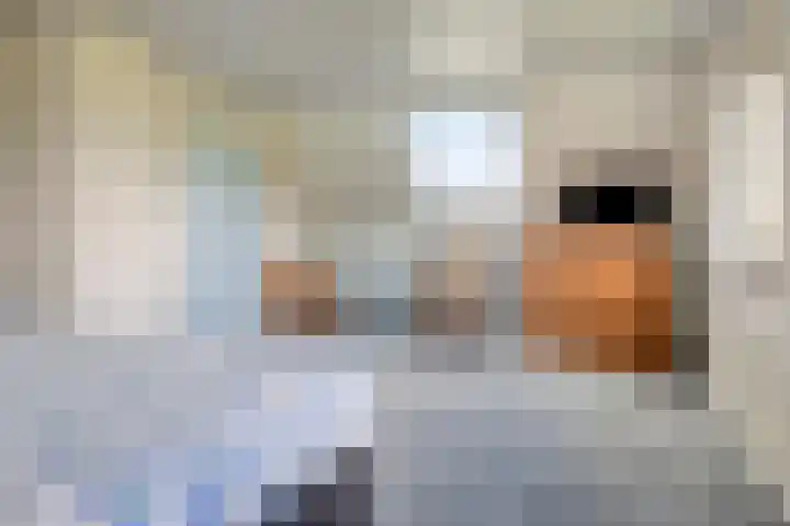 Singelweg 1 Heerde thumbnail 26