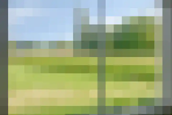 Singelweg 1 Heerde thumbnail 27