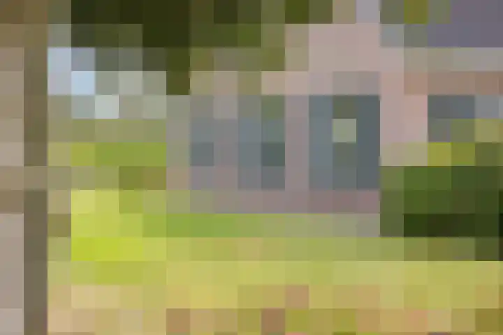 Singelweg 1 Heerde thumbnail 38
