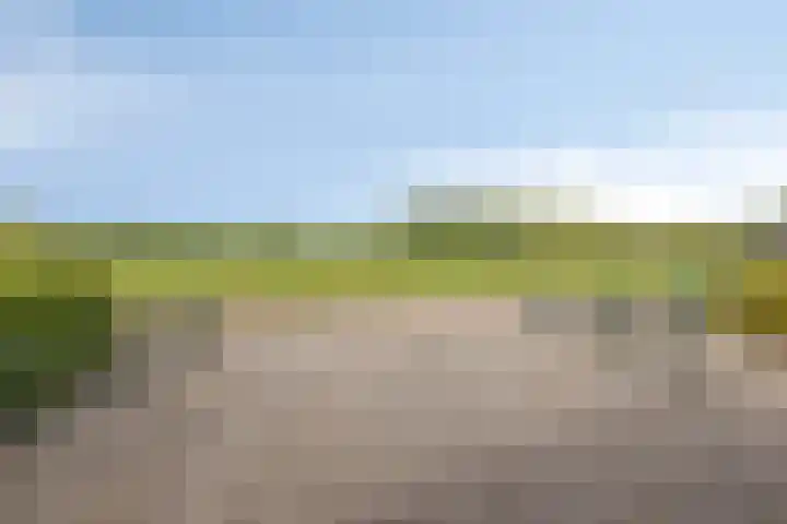 Singelweg 1 Heerde thumbnail 39