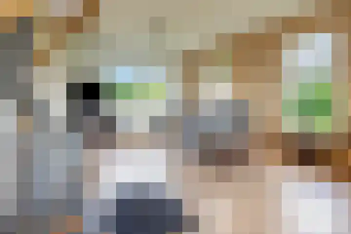 Singelweg 1 Heerde thumbnail 4
