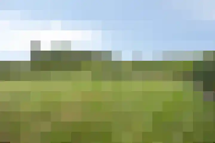 Singelweg 1 Heerde thumbnail 40