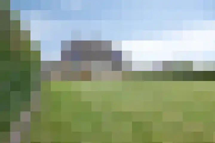 Singelweg 1 Heerde thumbnail 42