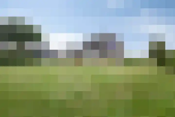 Singelweg 1 Heerde thumbnail 43