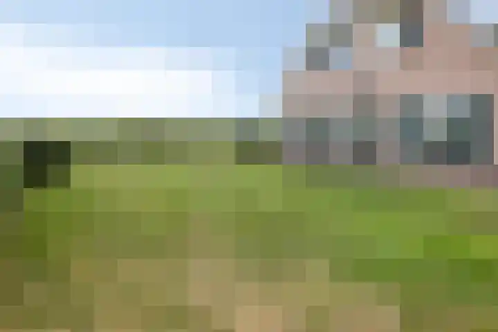 Singelweg 1 Heerde thumbnail 45