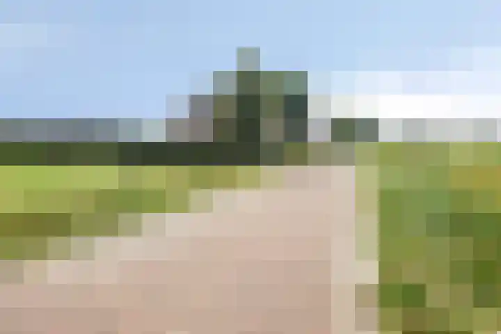 Singelweg 1 Heerde thumbnail 47