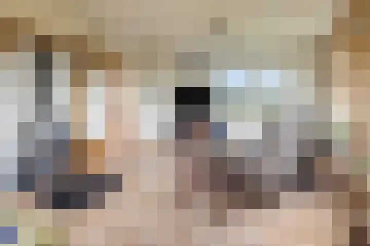 Singelweg 1 Heerde thumbnail 5