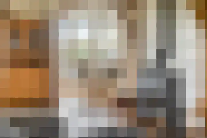 Singelweg 1 Heerde thumbnail 9