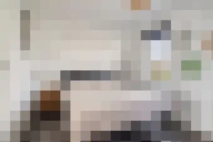 Singelweg 13 Axel thumbnail 12