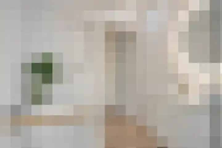 Singelweg 13 Axel thumbnail 9
