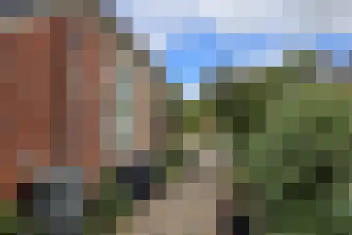 Singelweg 19 Loppersum thumbnail 13