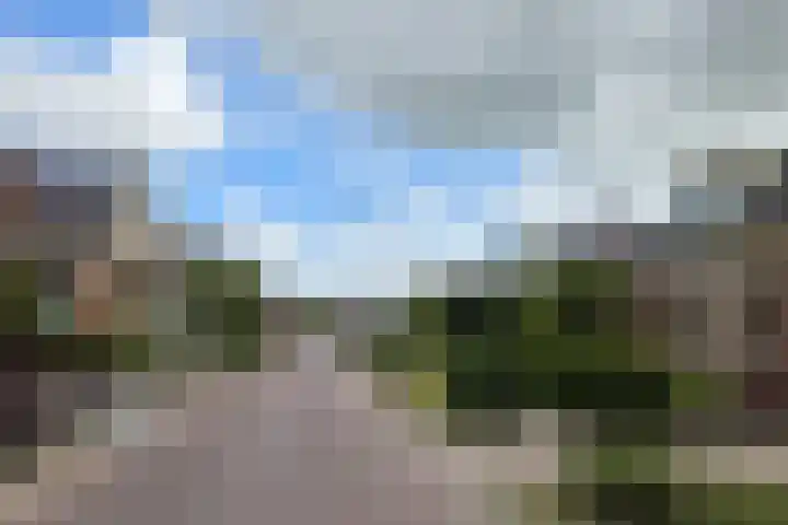Singelweg 19 Loppersum thumbnail 15