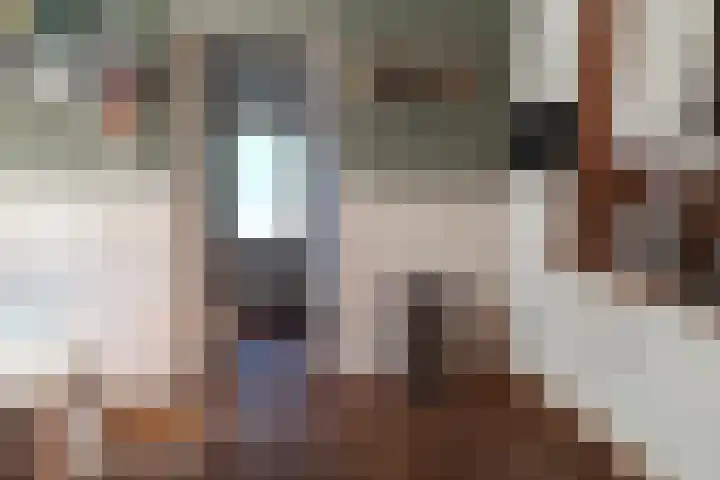 Singelweg 19 Loppersum thumbnail 18