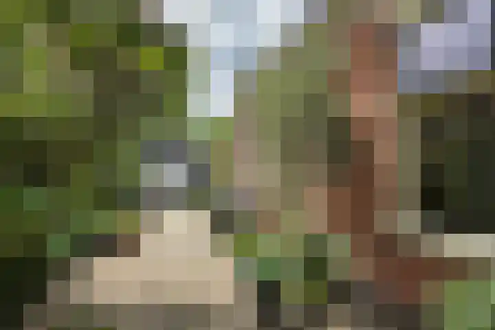 Singelweg 19 Loppersum thumbnail 7