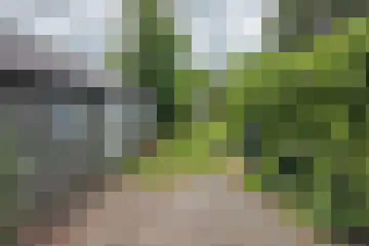 Singelweg 19 Loppersum thumbnail 8
