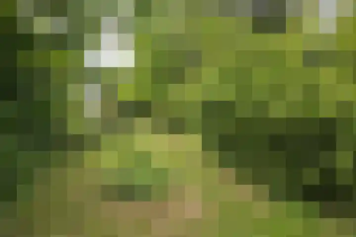 Singelweg 19 Loppersum thumbnail 9
