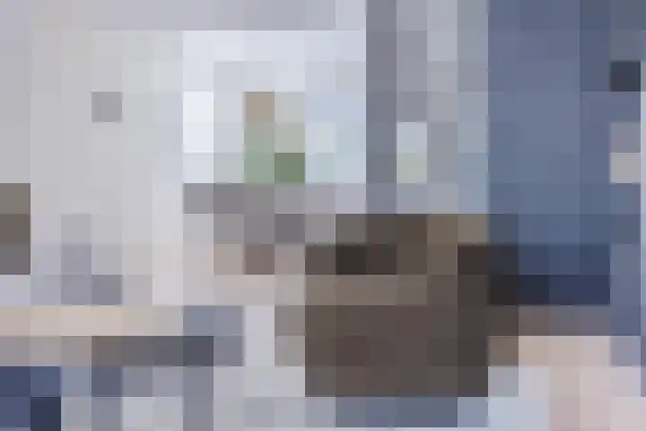 Singelweide 126 Heemskerk thumbnail 11
