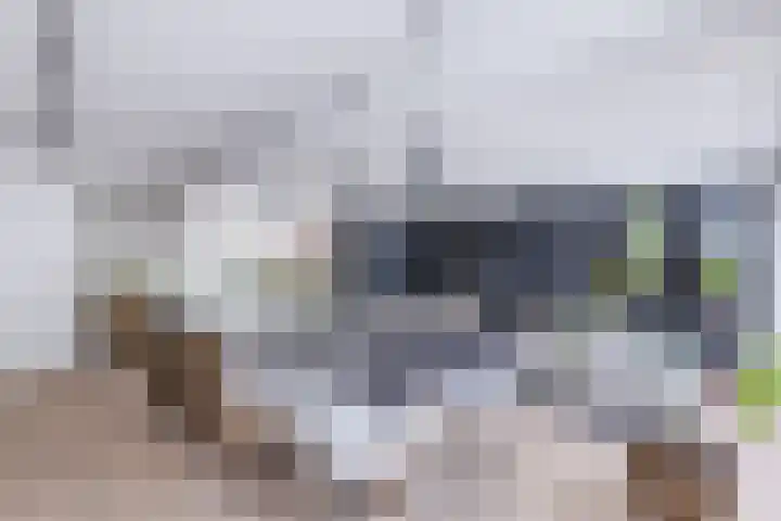 Singelweide 126 Heemskerk thumbnail 13
