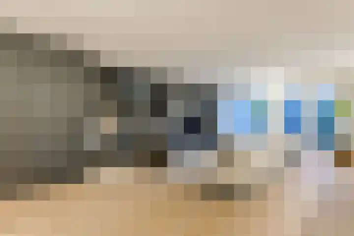Singelweide 126 Heemskerk thumbnail 19