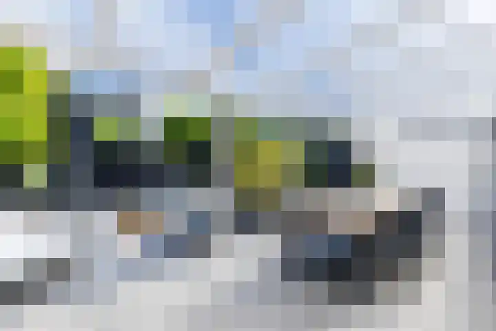 Singelweide 126 Heemskerk thumbnail 44
