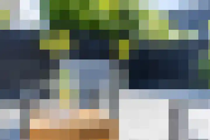 Singelweide 126 Heemskerk thumbnail 47