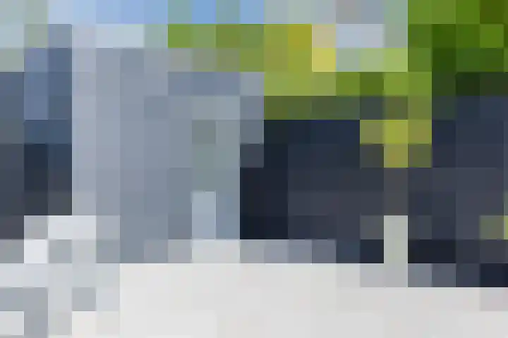Singelweide 126 Heemskerk thumbnail 48