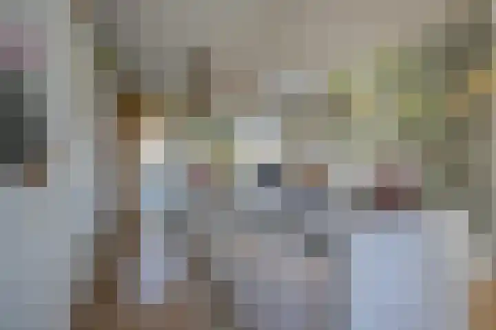 Singraven 15 Lelystad thumbnail 12