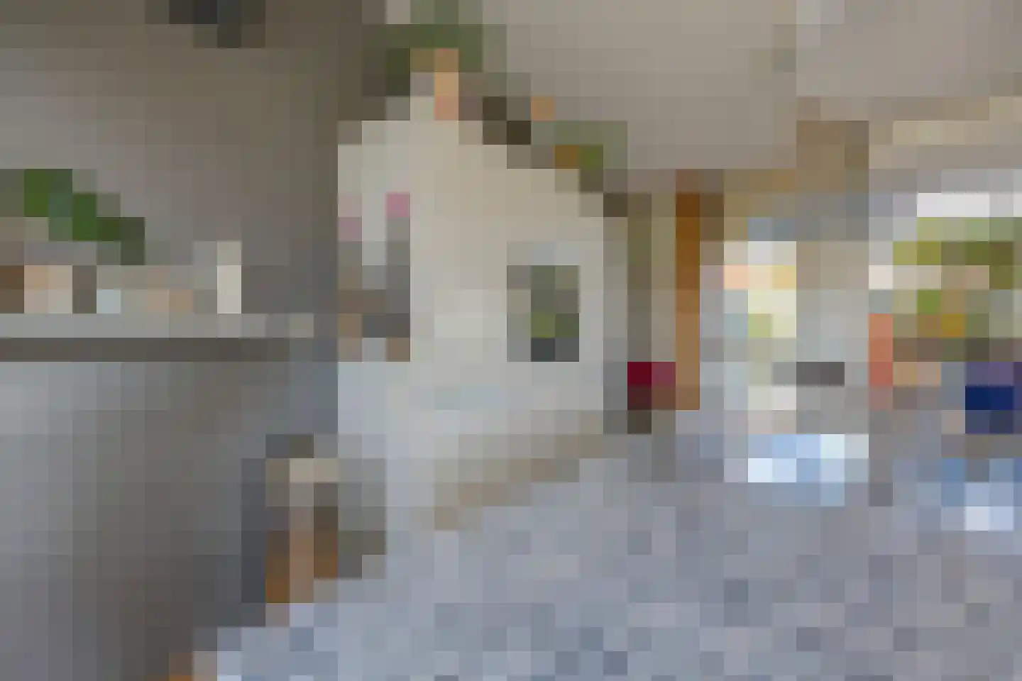 Singraven 15 Lelystad thumbnail 12