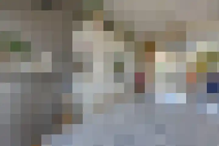 Singraven 15 Lelystad thumbnail 13