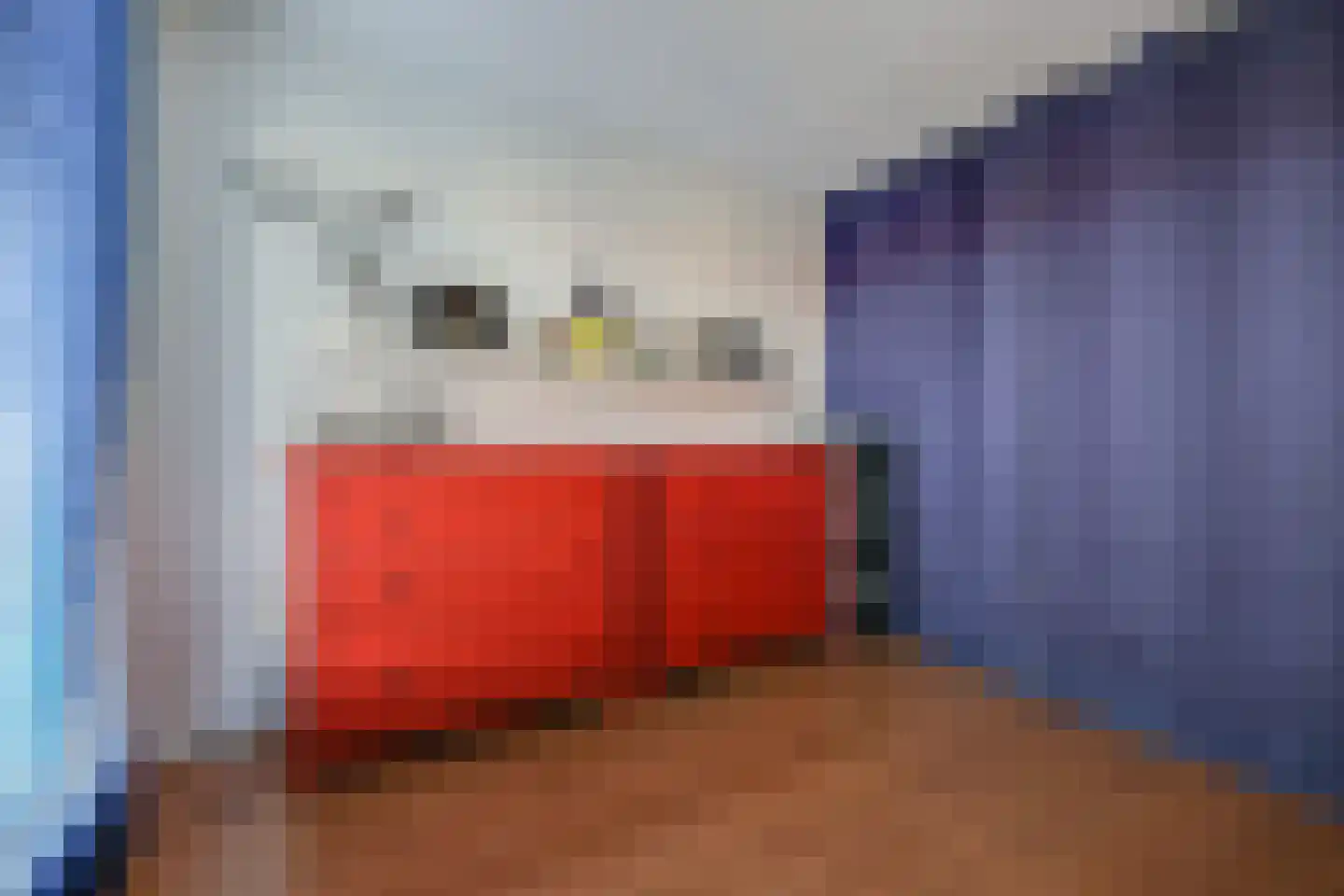 Singraven 15 Lelystad thumbnail 20